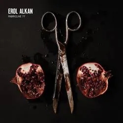 Album artwork for Erol Alkan - Fabric Live 77 by Various