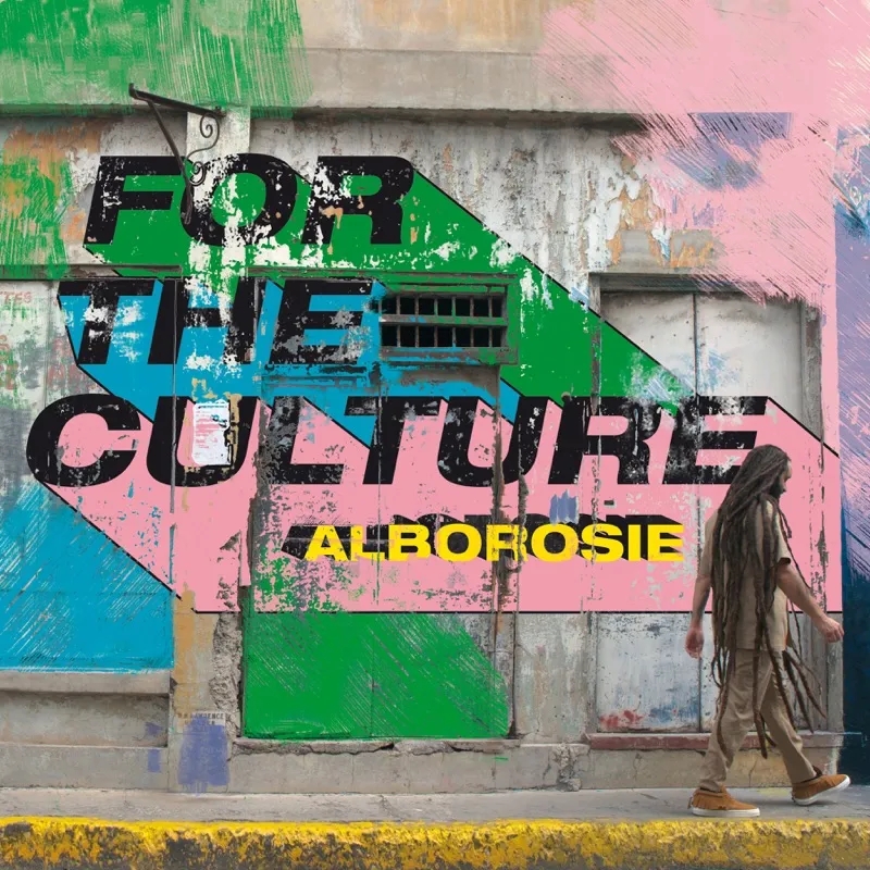 Album artwork for For The Culture by Alborosie