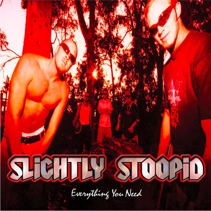 Album artwork for Everything You Need by Slightly Stoopid