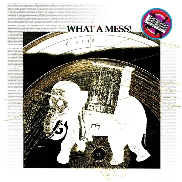 Album artwork for What A Mess! by Pepe Bradock
