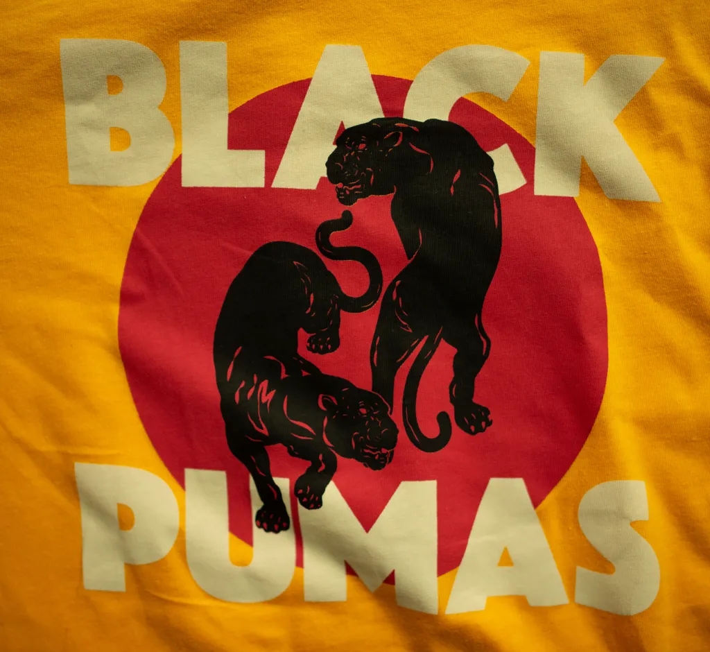 Album artwork for Double Pumas T-Shirt by Black Pumas
