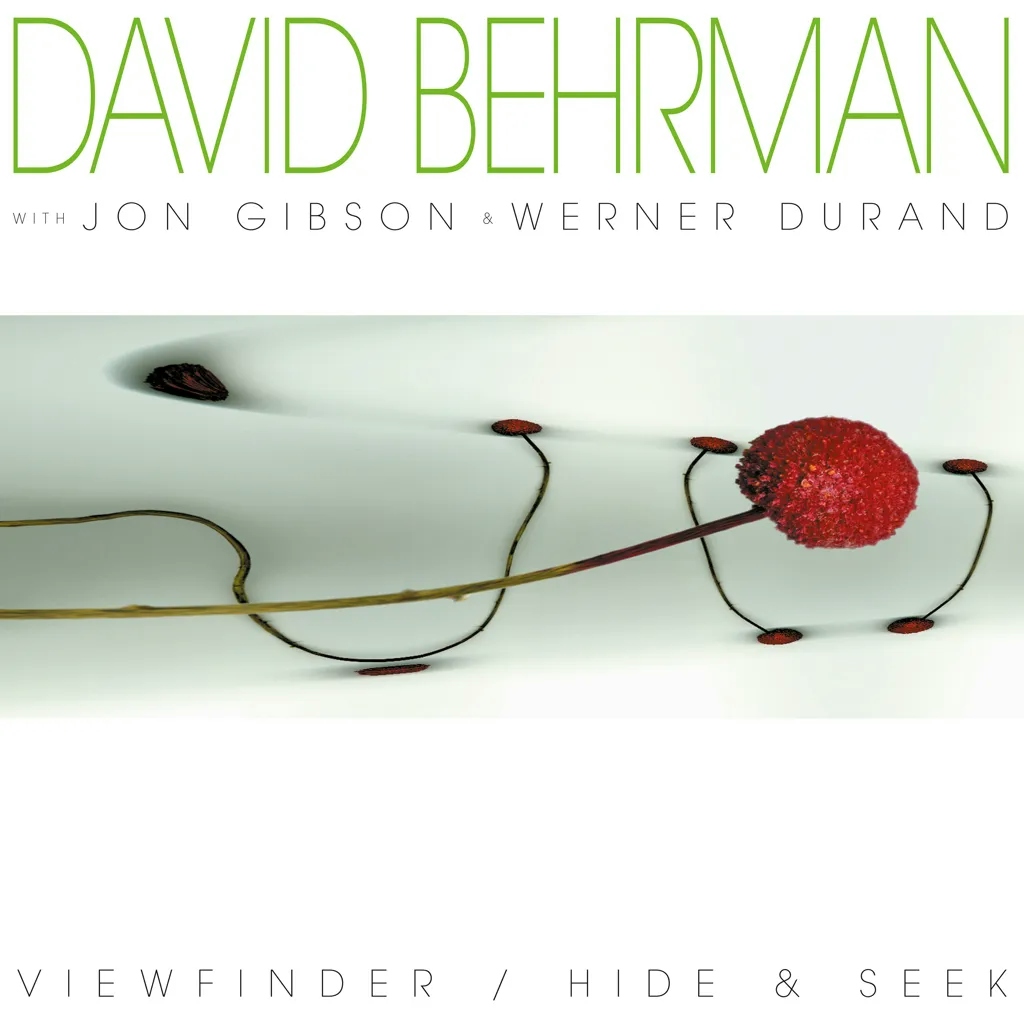 Album artwork for ViewFinder / Hide and Seek by David Behrman