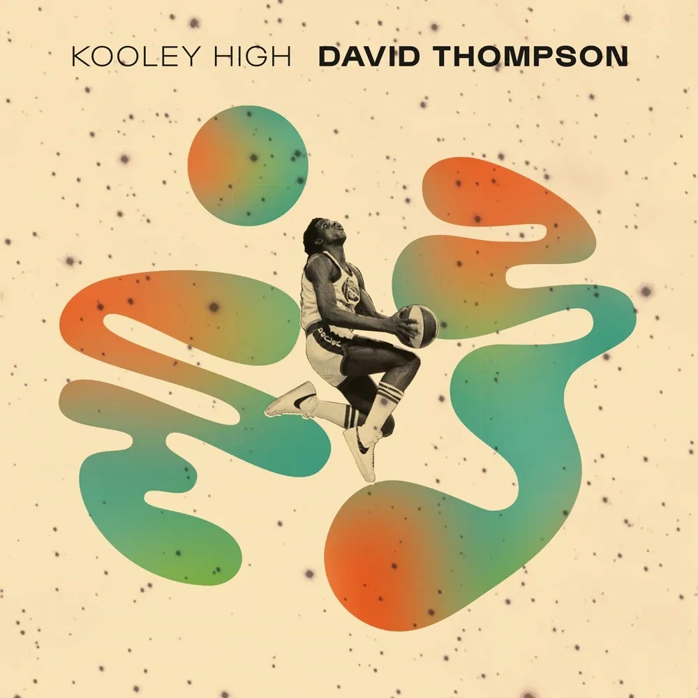 Album artwork for David Thompson by Kooley High