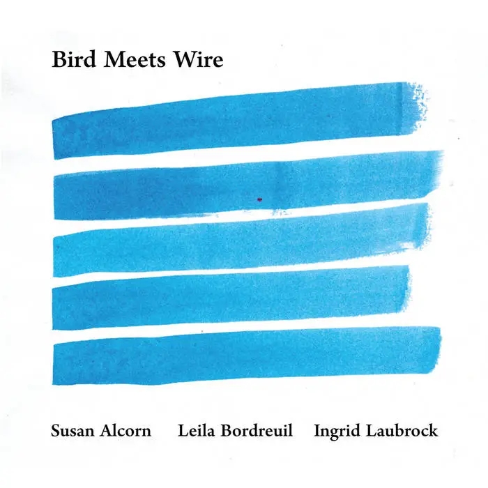 Album artwork for Bird Meets Wire by Susan Alcorn / Leila Bordreuil / Ingrid Laubrock