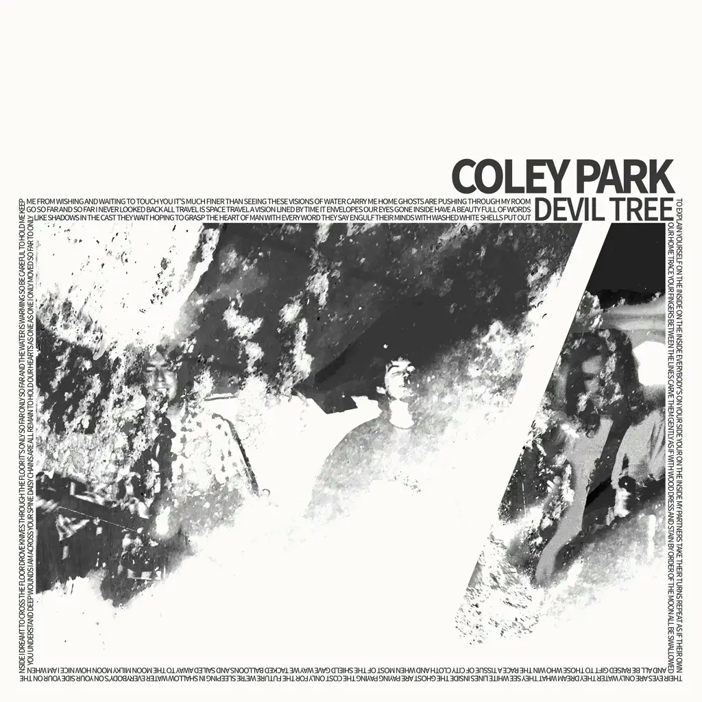 Album artwork for Devil Tree by Coley Park