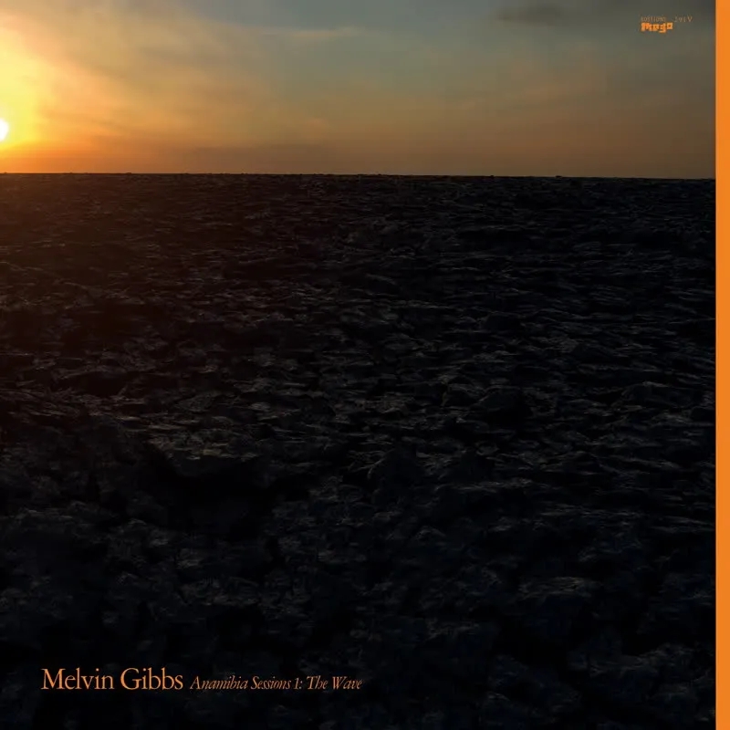 Album artwork for Anamibia Sessions 1: The Wave by Melvin Gibbs
