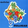 Album artwork for Bullhead by Melvins