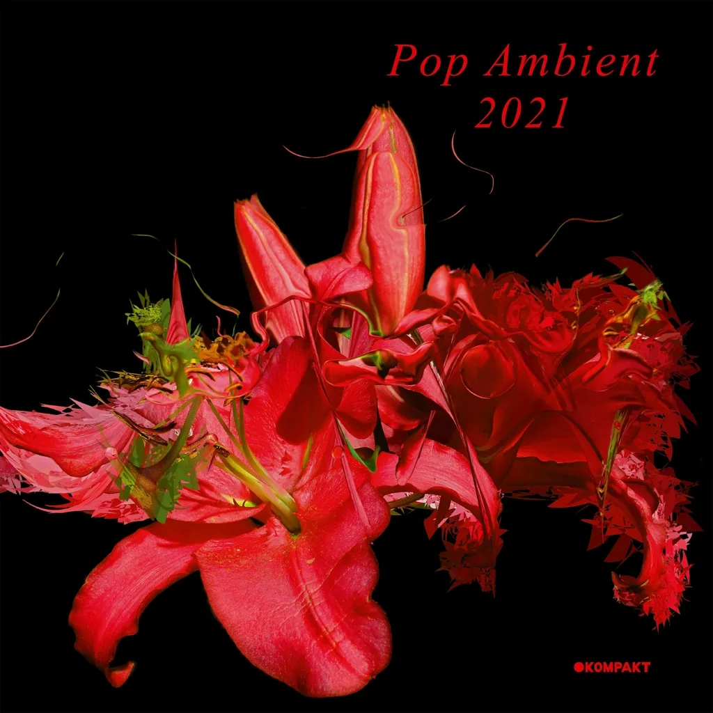 Album artwork for Pop Ambient 2021 by Various