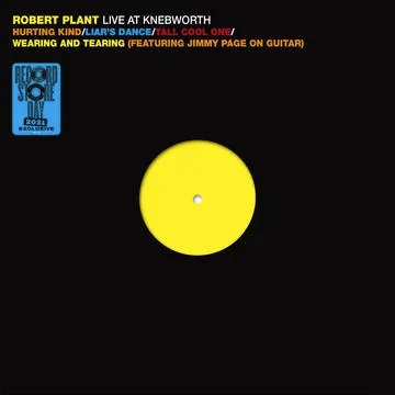 Album artwork for Live At Knebworth 1990 by Robert Plant