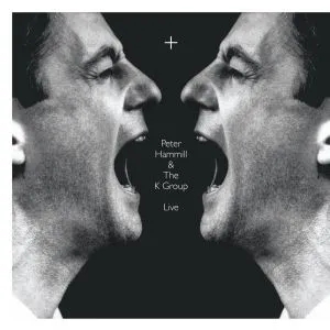 Album artwork for + by Peter Hammill