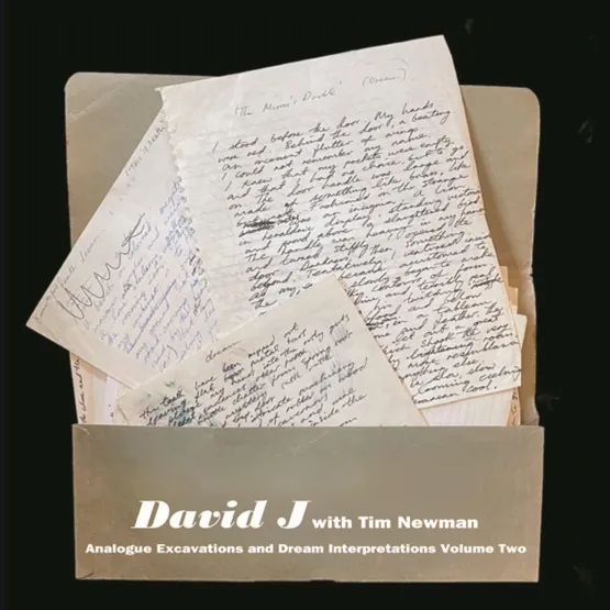 Album artwork for Analogue Excavations and Dream Interpretations Vol 2 by David J / Tim Newman 