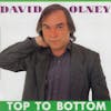 Album artwork for Top to Bottom by David Olney