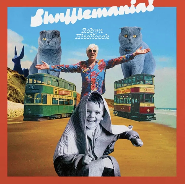 Album artwork for Sufflemania! by Robyn Hitchcock