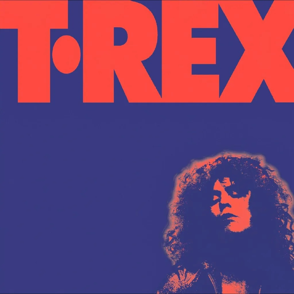 Album artwork for The Alternative Singles Collection by Marc Bolan
