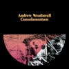 Album artwork for Consolamentum by Andrew Weatherall