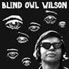 Album artwork for Blind Owl Wilson by Blind Owl Wilson