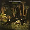 Album artwork for Evergreen by Echo and The Bunnymen