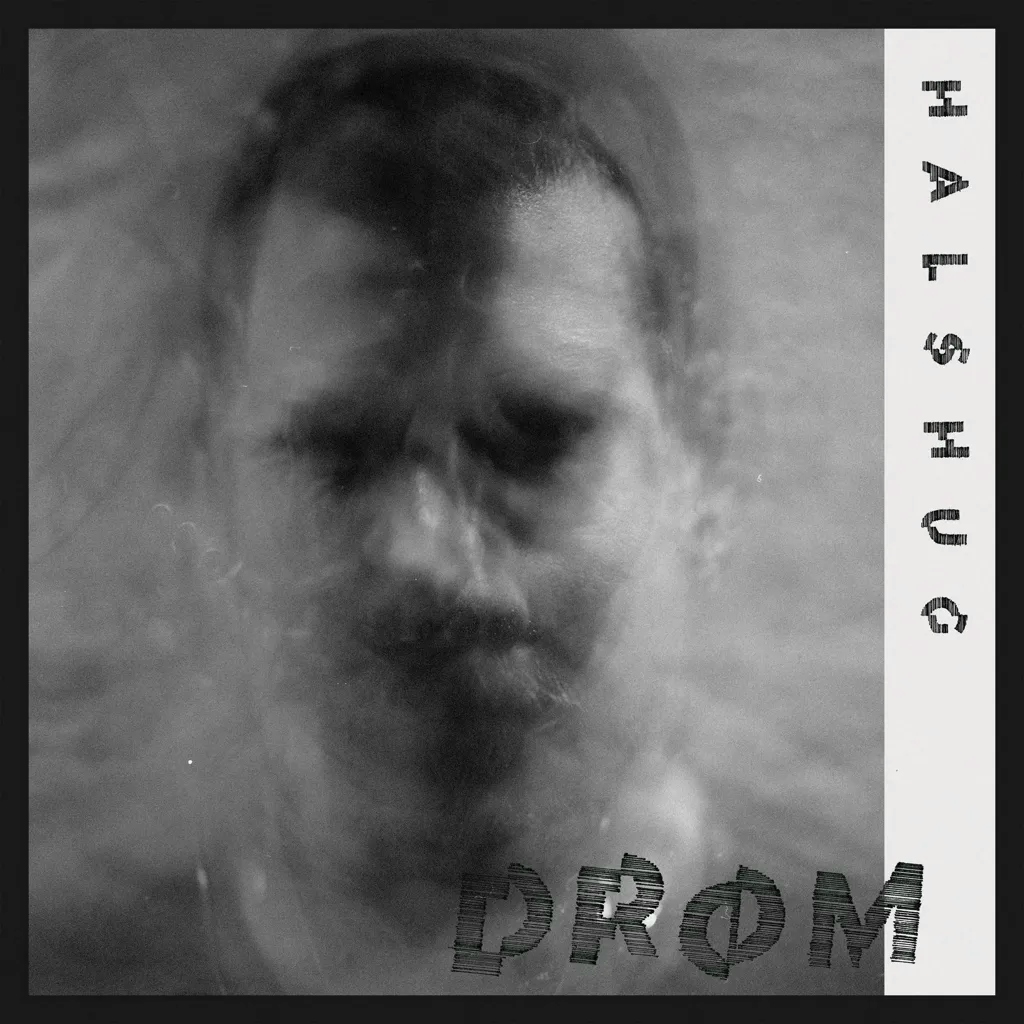 Album artwork for Drom by Halshug