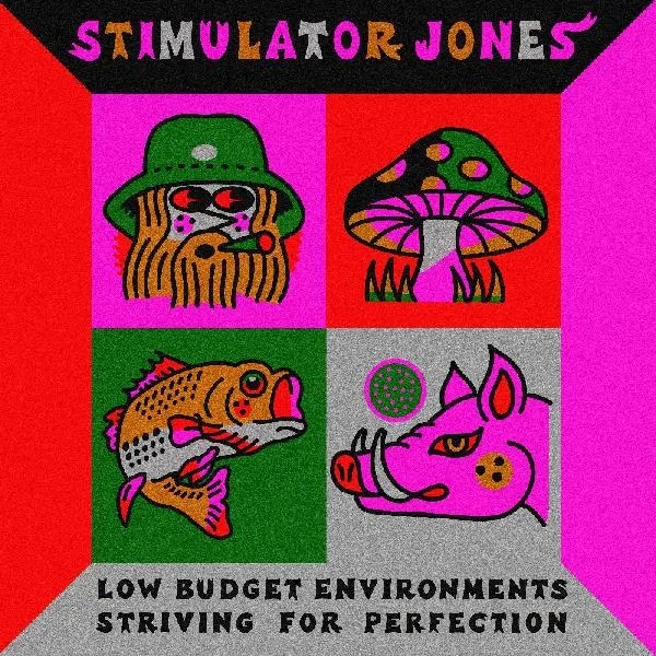 Album artwork for Low Budget Environments Striving For Perfection by Stimulator Jones