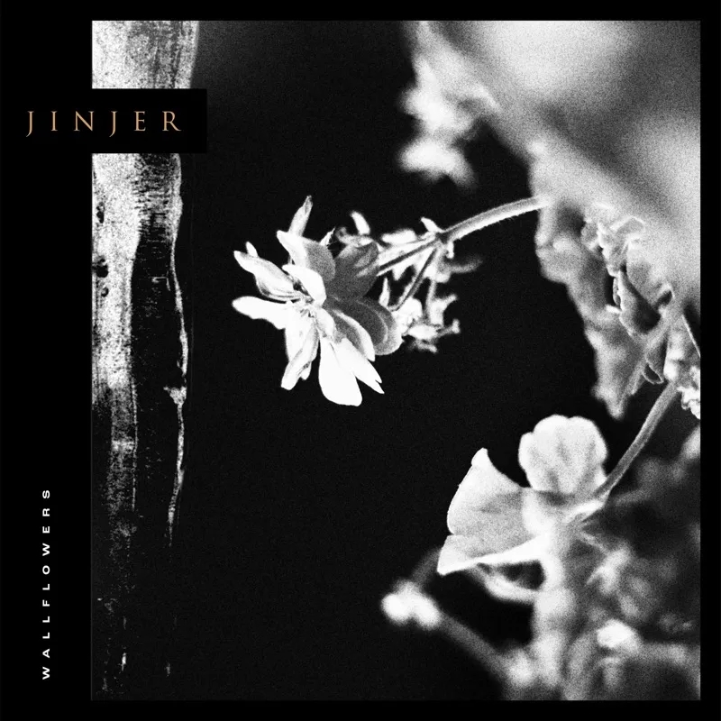 Album artwork for Wallflowers by Jinjer
