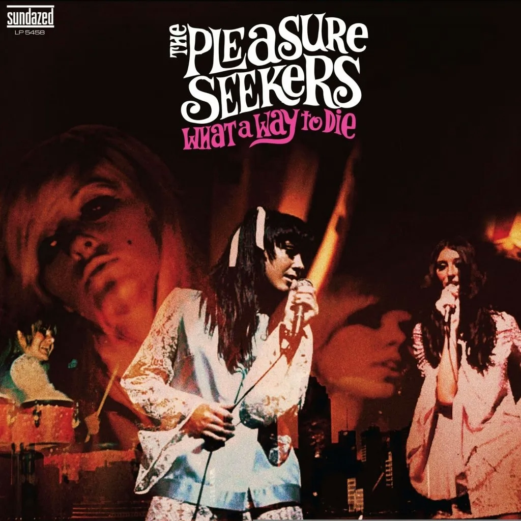 Album artwork for What A Way To Die by The Pleasure Seekers