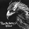 Album artwork for Hellbound by Buckcherry