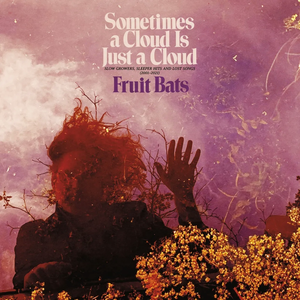 Album artwork for Sometimes a Cloud Is Just a Cloud: Slow Growers, Sleeper Hits and Lost Songs (2001 – 2021) by Fruit Bats