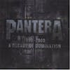 Album artwork for 1990-2000: A Decade of Domination by Pantera