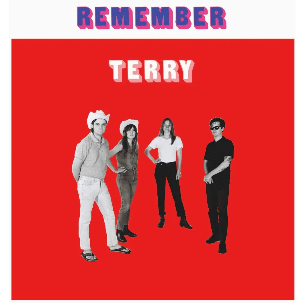 Album artwork for Remember Terry by Terry