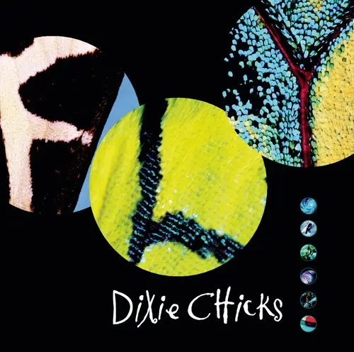 Album artwork for Fly  by Dixie Chicks