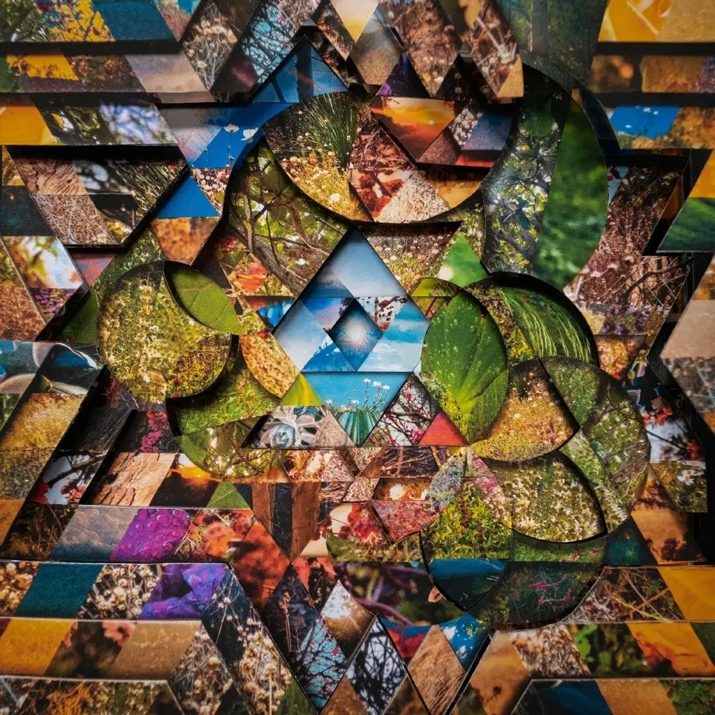 Album artwork for Les Jardins Mystiques Vol.1 by Miguel Atwood-Ferguson 