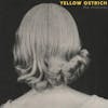 Album artwork for The Mistress by Yellow Ostrich