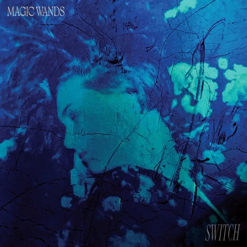 Album artwork for Switch by Magic Wands