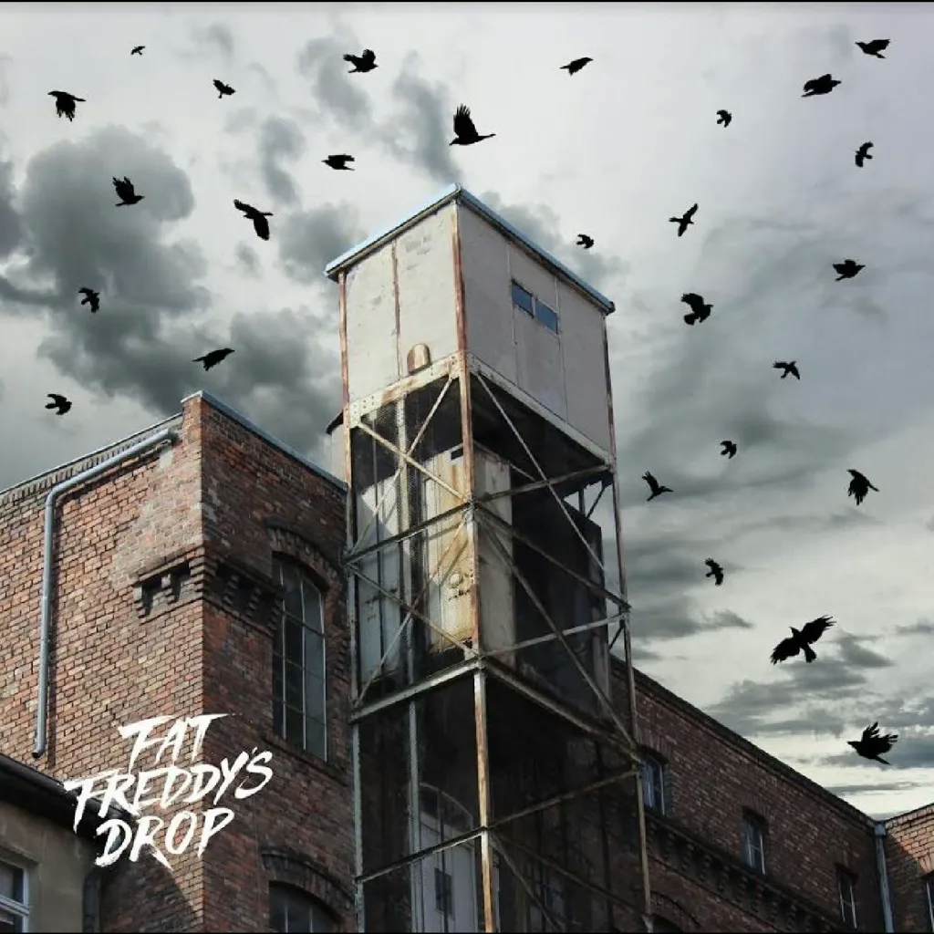 Album artwork for Blackbird Returns by Fat Freddy's Drop