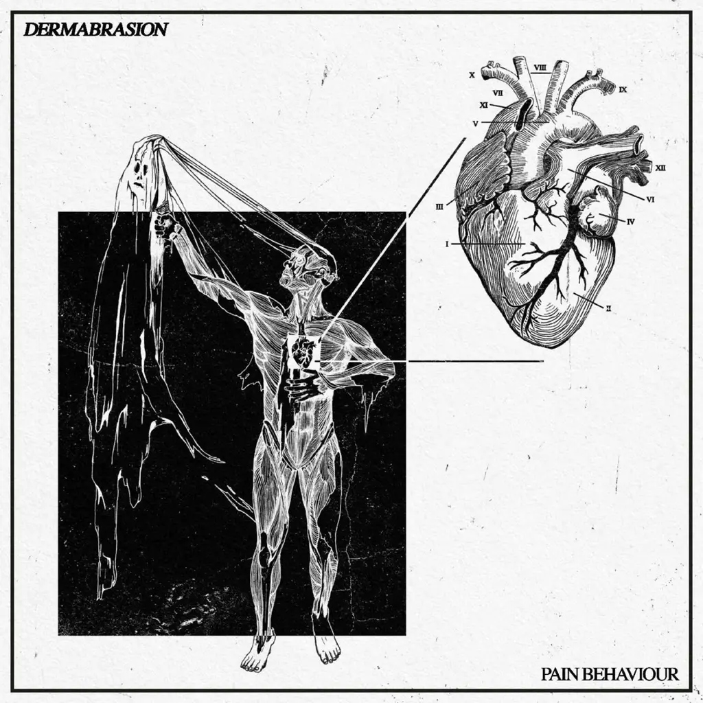 Album artwork for Pain Behaviour by Dermabrasion