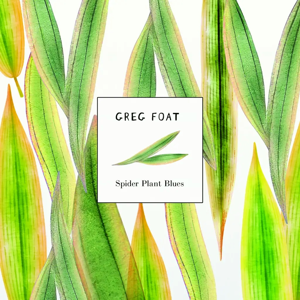 Album artwork for Spider Plant Blues by Greg Foat