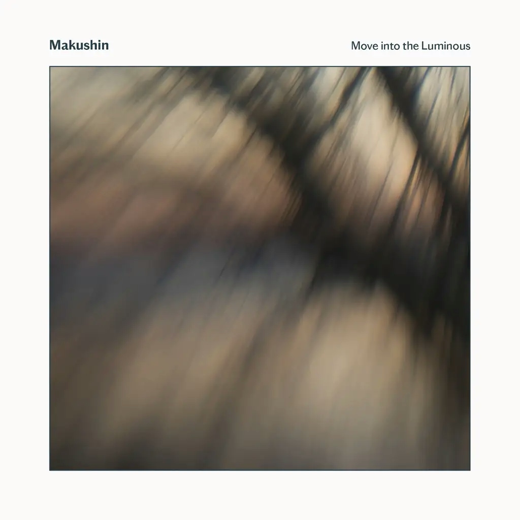 Album artwork for Move Into The Luminous by Makushin