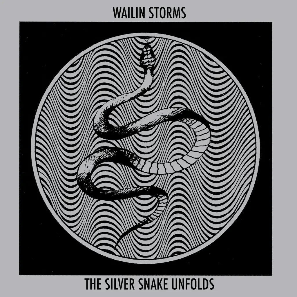 Album artwork for The Silver Snake Unfolds by Wailin Storms