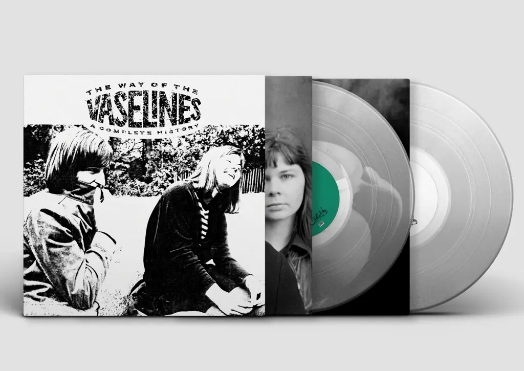 Album artwork for The Way of the Vaselines by The Vaselines