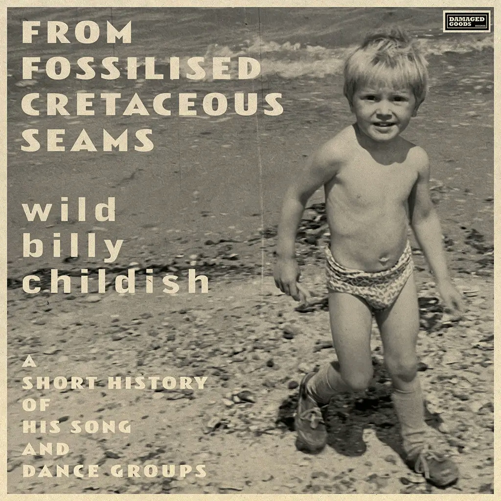 Album artwork for From Fossilised Cretaceous Seams: A Short History of His Song and Dance Groups by Wild Billy Childish