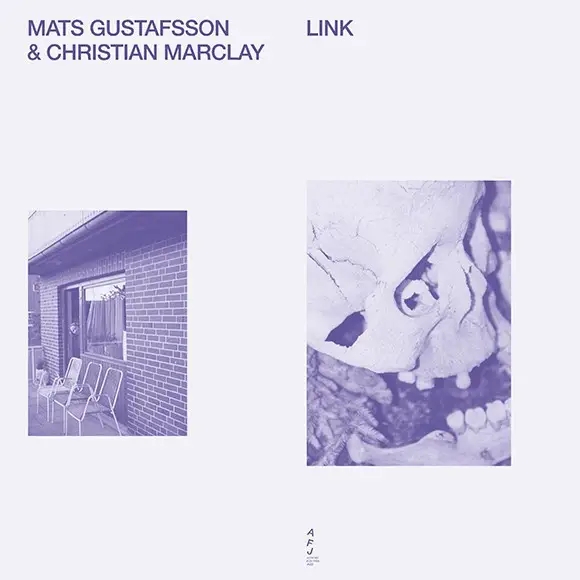 Album artwork for Link by Mats Gustafsson and Christian Marclay