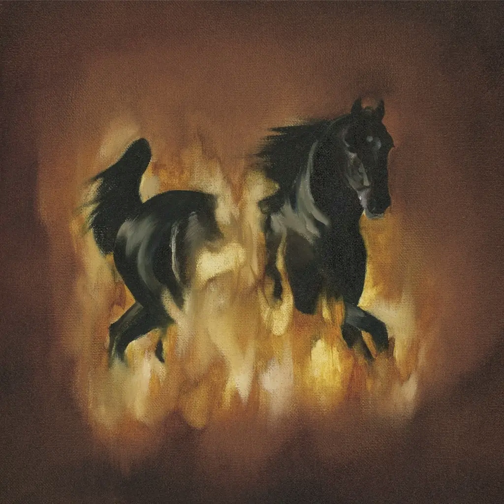 Album artwork for The Besnard Lakes Are The Dark Horse by The Besnard Lakes