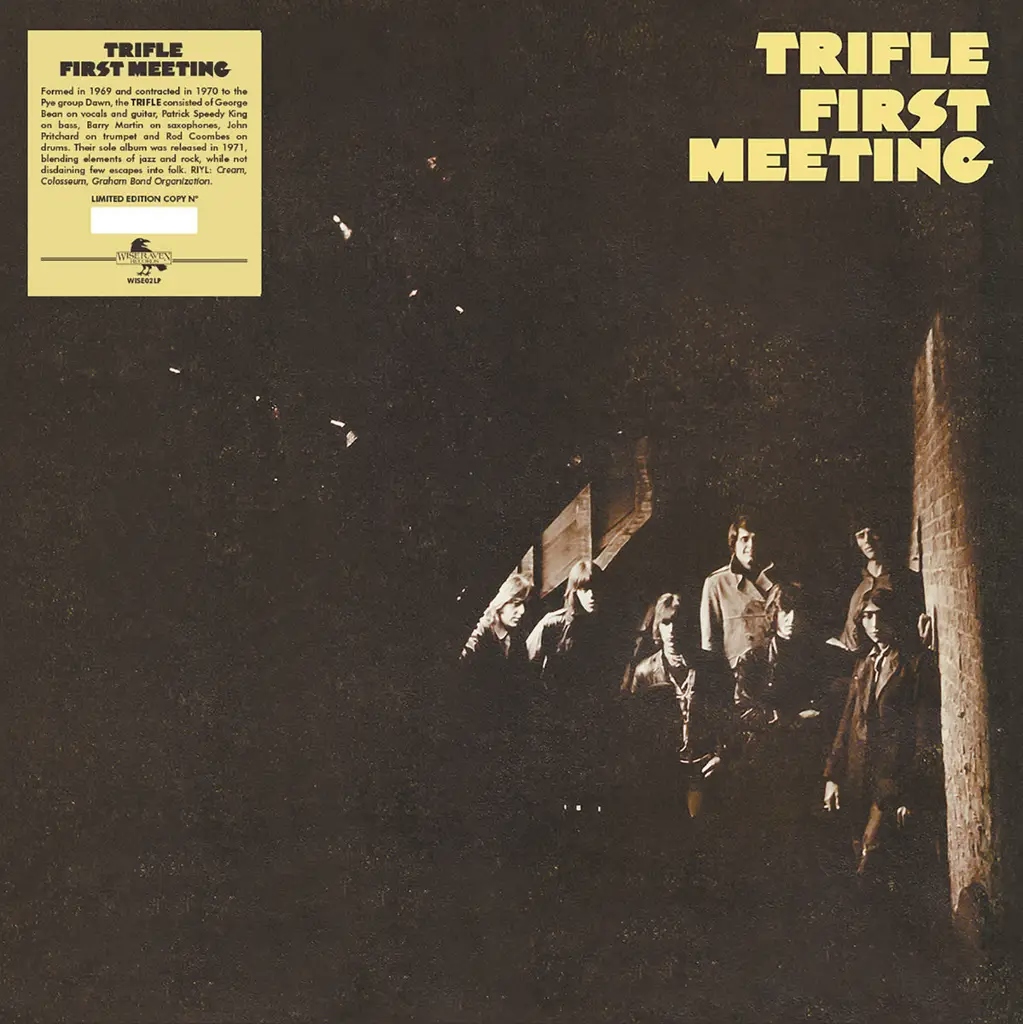 Album artwork for First Meeting by Trifle