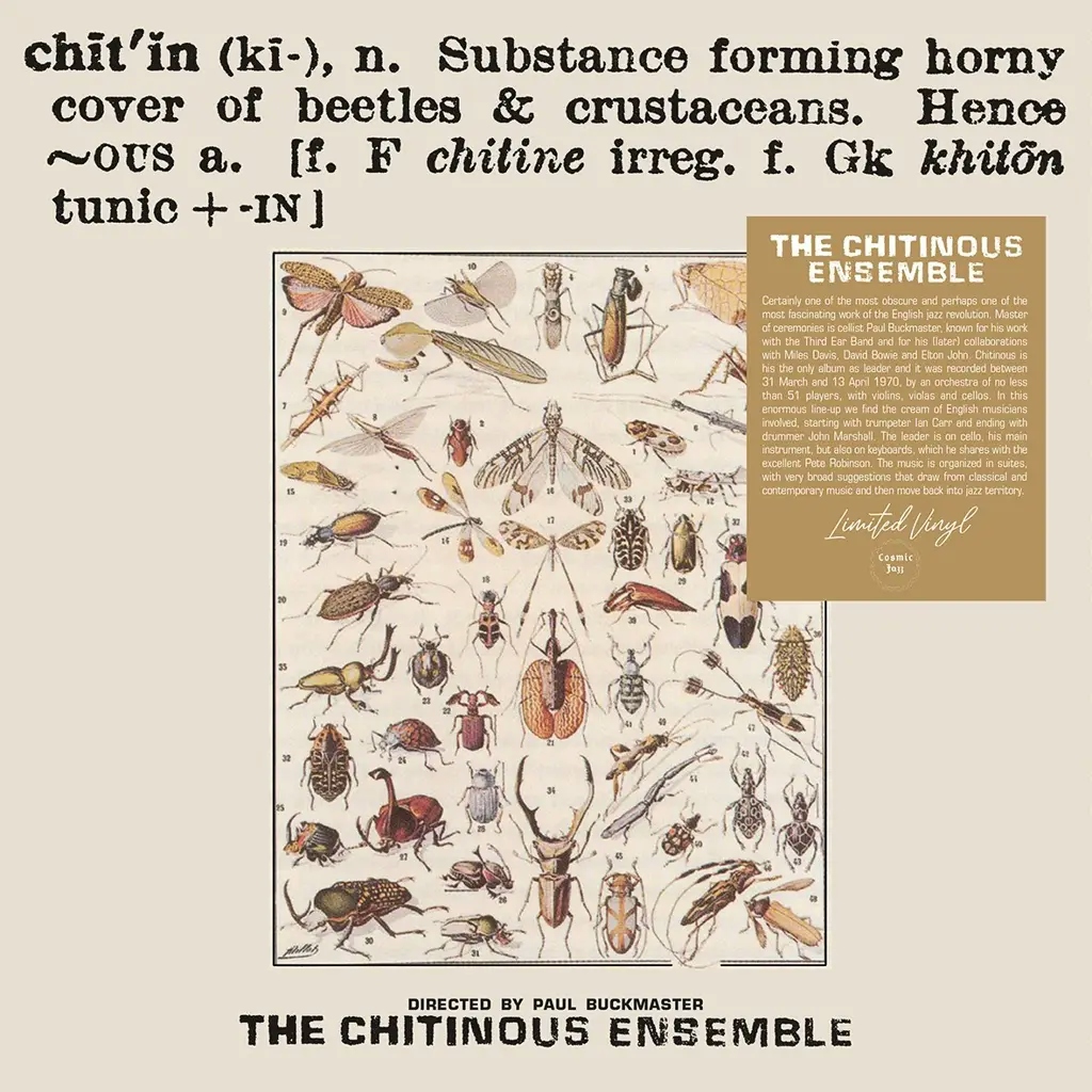 Album artwork for Chitinous by The Chitinous Ensemble