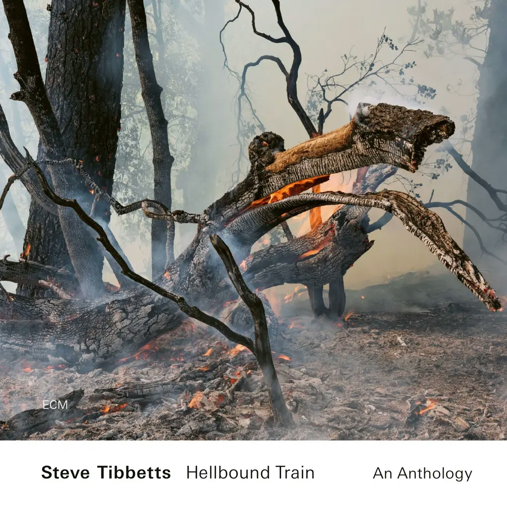Album artwork for Hellbound Train: An Anthology by Steve Tibbetts